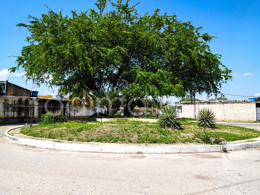 Casa en San Antonio, Palo Negro, Aragua